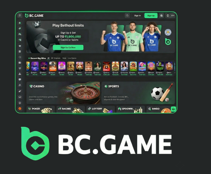 How to Navigate the BC.Game Registration Process How to Navigate the BC.Game Registration Process
